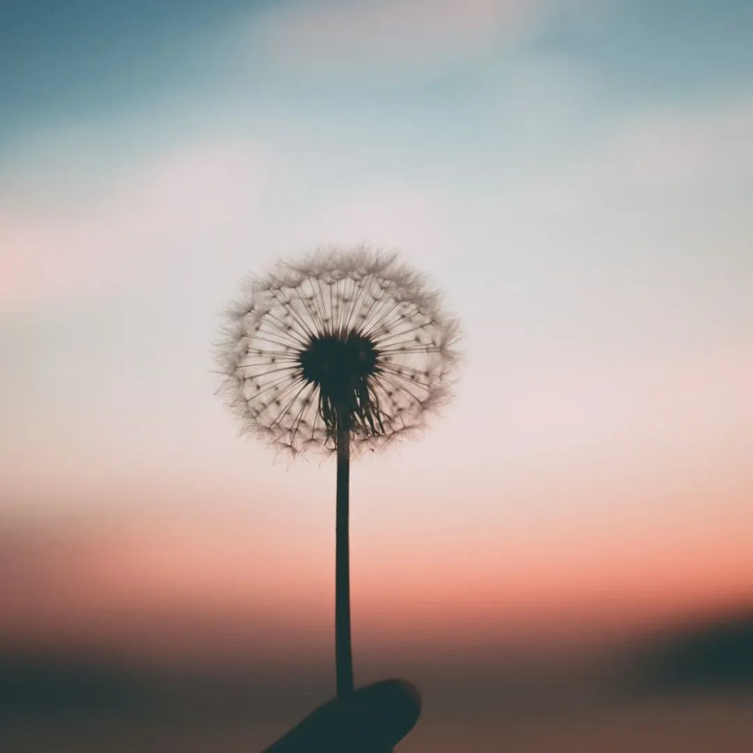Cómo encontrar paz en situaciones difíciles: 5 pasos para re-alinearte con el universo