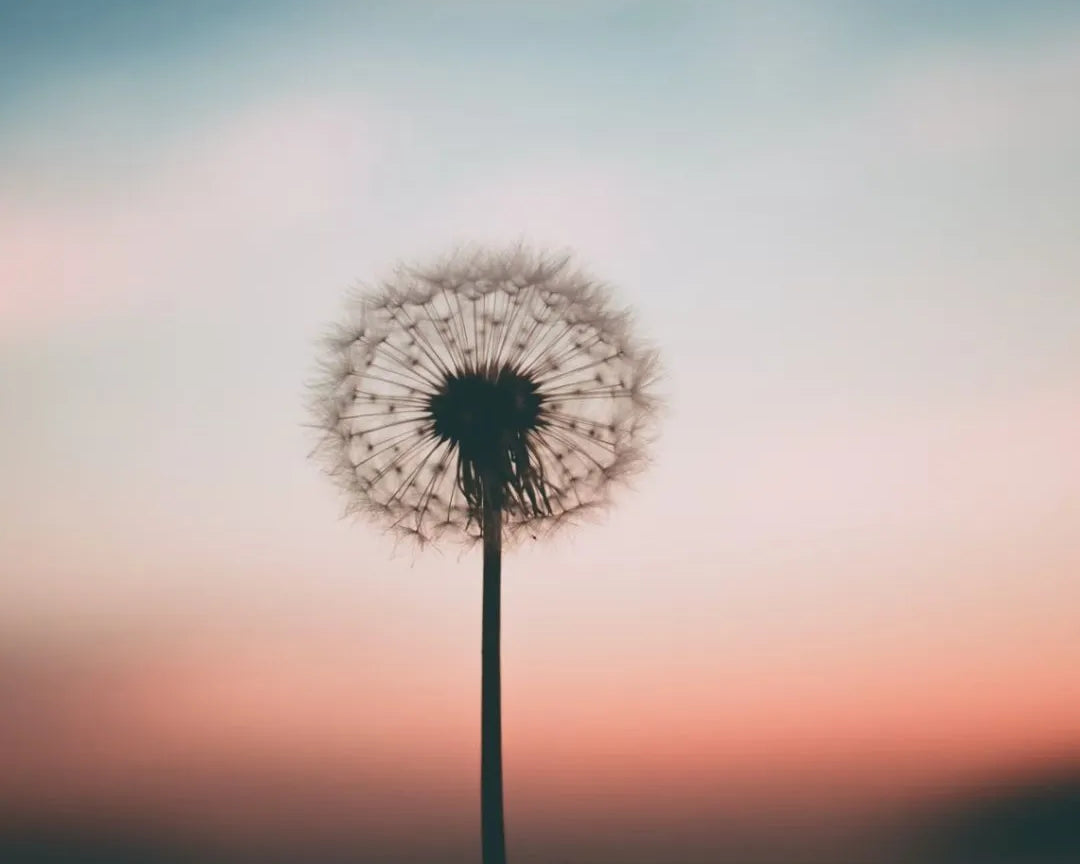 Cómo encontrar paz en situaciones difíciles: 5 pasos para re-alinearte con el universo