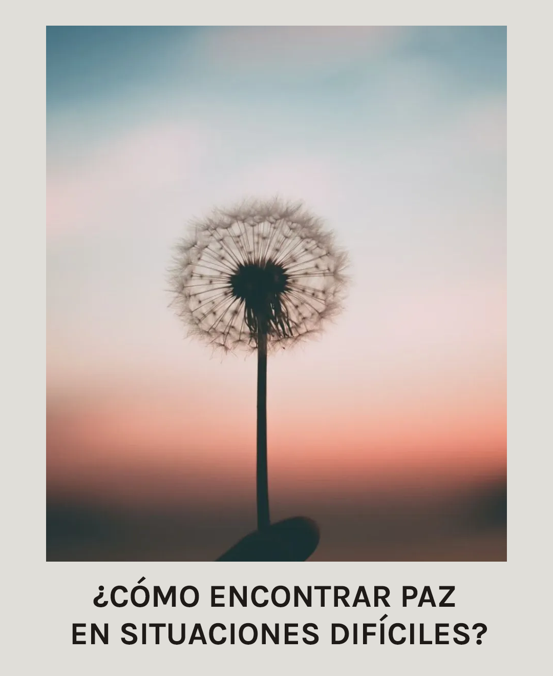 Cómo encontrar paz en situaciones difíciles: 5 pasos para re-alinearte con el universo
