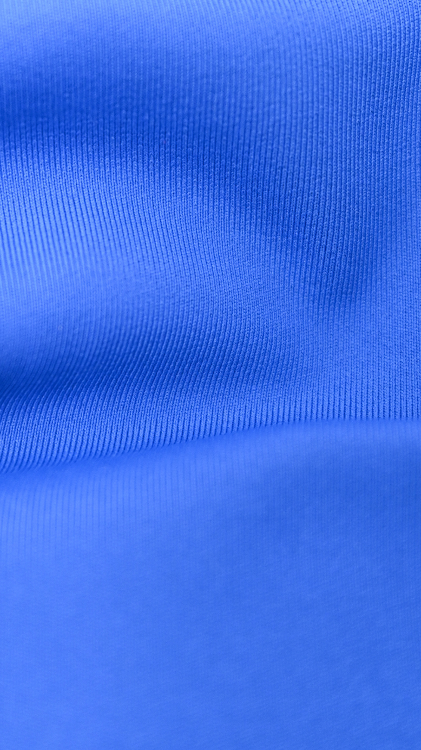 Dynamic Halter - Electric Blue